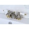 Kingston Brass KB949B Mini-Widespread Bathroom Faucet, Brushed Nickel/Polished Brass KB949B - alternate 2